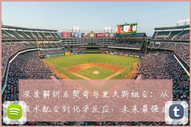 深度解析东契奇与里夫斯组合:从技术配合到化学反应,未来最强后场如何炼成